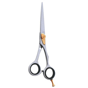 Barber Scissor