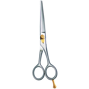 Barber Scissor