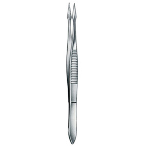 splinter forceps