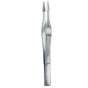 splinter forceps