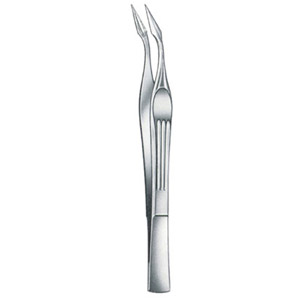 splinter forceps