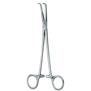 bronchus and hemostatic forceps