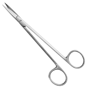 Kelly Scissors 6.25