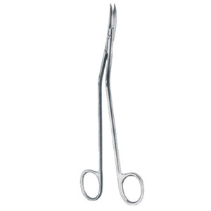 Dandy Dissecting Scissor