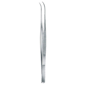 Taylor Dressing Forcep CVD